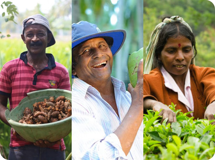 Three People Image 2